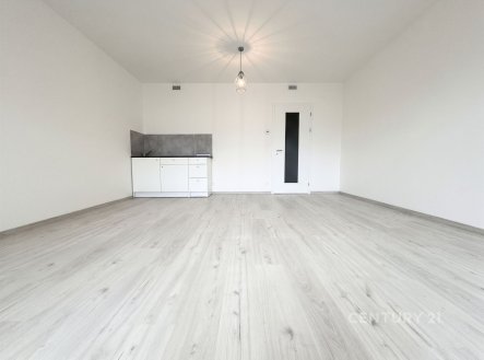 . | Pronájem bytu, 1+kk, 38 m²