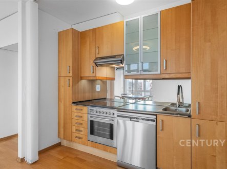 Pronájem bytu, 2+kk, 54 m²
