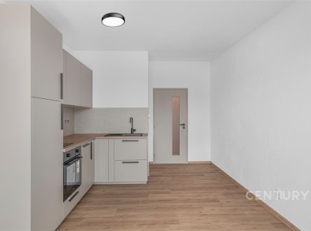 Pronájem bytu, 1+kk, 24 m²