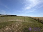 Prodej pozemku, zemědělská půda, 5 343 m²
