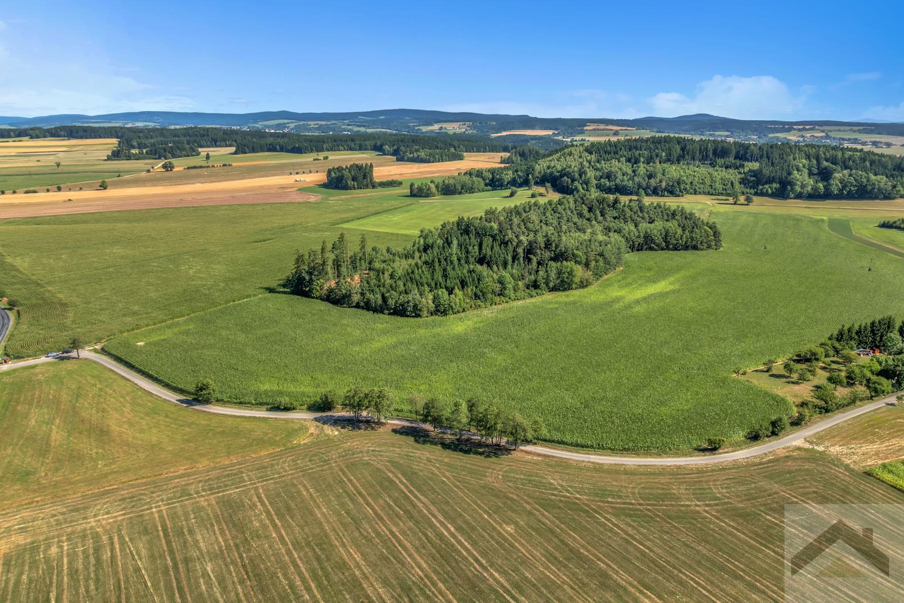 DJI_0307