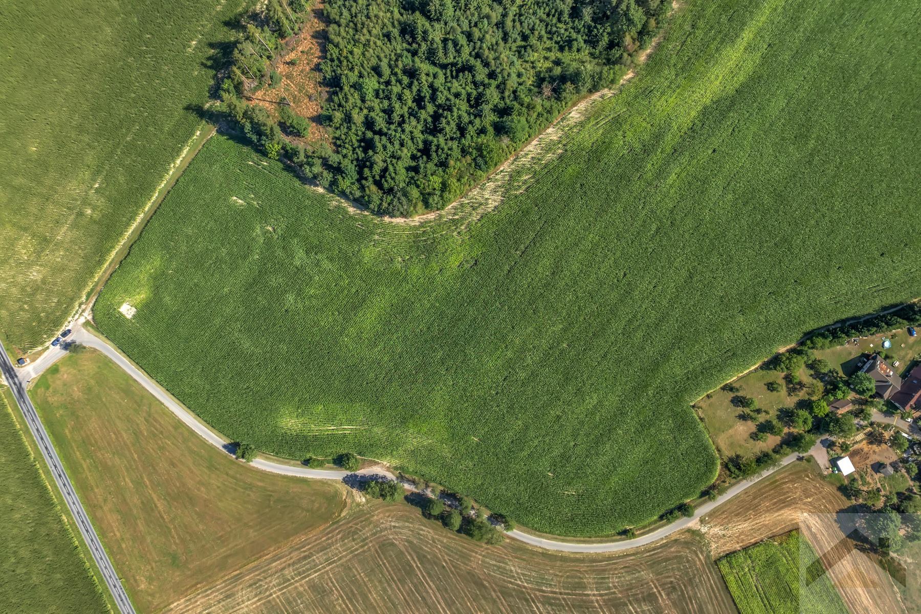 DJI_0316