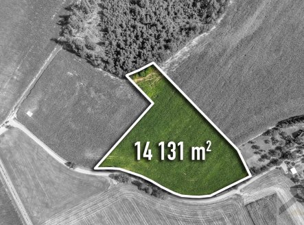 Prodej pozemku, zemědělská půda, 14 131 m²