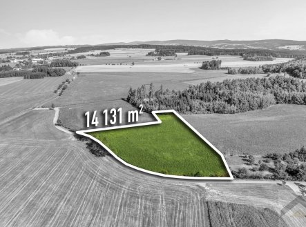 Prodej pozemku, zemědělská půda, 14 131 m²