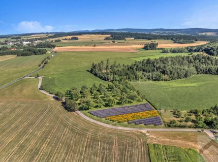 Prodej pozemku, zemědělská půda, 14 131 m²