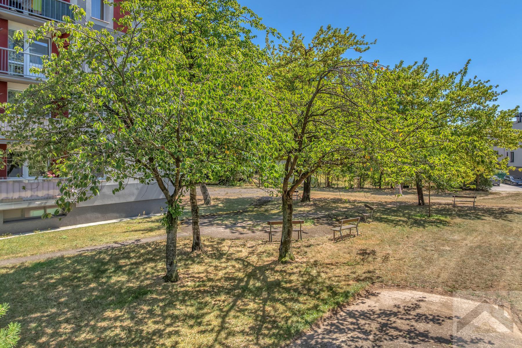 DJI_0379