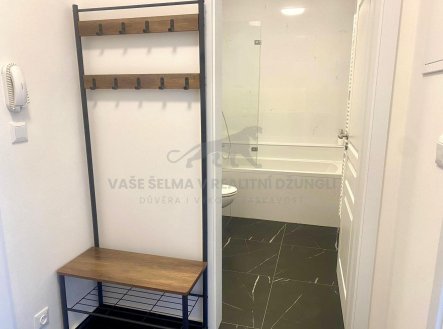 Pronájem bytu, 1+kk, 25 m²