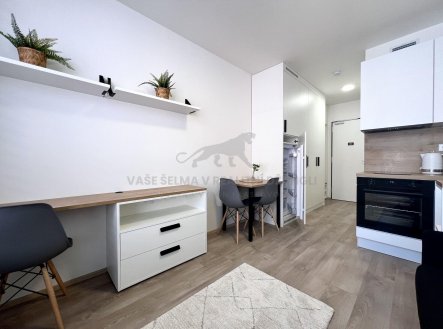 Pronájem bytu, 1+kk, 20 m² obrázek