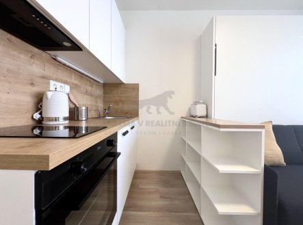Pronájem bytu, 1+kk, 20 m²