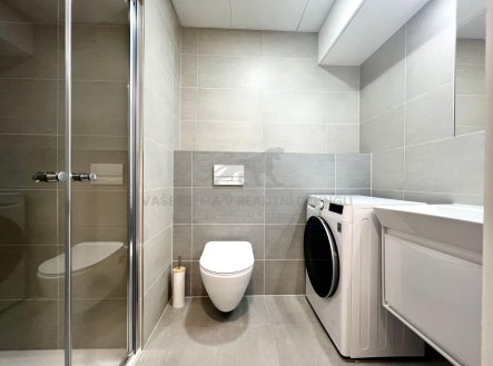 Pronájem bytu, 1+kk, 20 m²