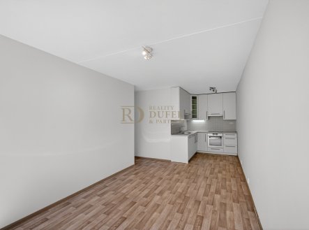 Prodej bytu, 2+kk, 45 m²