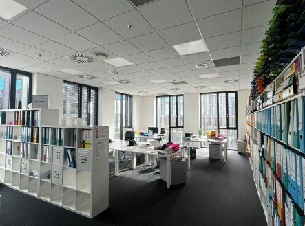 Pronájem kanceláře, 337 m² obrázek