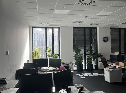 Pronájem kanceláře, 337 m²