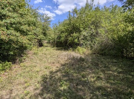 Prodej pozemku, zahrada, 470 m²