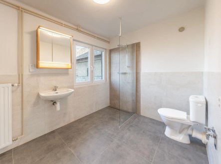 Pronájem bytu, 2+1, 57 m²