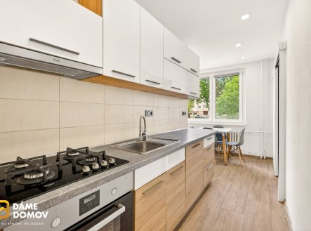 Pronájem bytu, 2+1, 54 m²