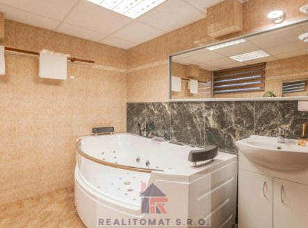 Prodej bytu, 1+kk, 55 m²