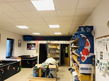 Pronájem komerčního objektu, výroba, 79 m²