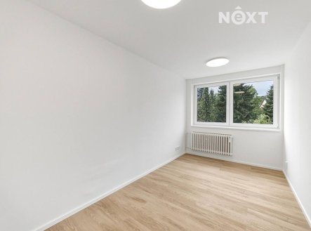 Prodej bytu, 1+kk, 16 m²