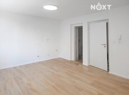Prodej bytu, 1+kk, 21 m²