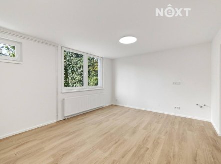 Prodej bytu, 1+kk, 21 m²