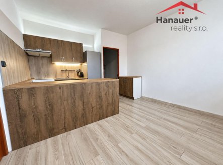Pronájem bytu, 1+1, 36 m²