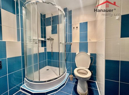 Pronájem bytu, 1+kk, 25 m²