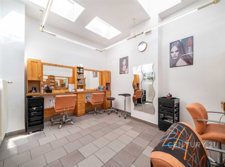 Pronájem obchodní prostory, 55 m²