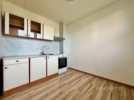 Pronájem bytu, 1+1, 34 m² obrázek