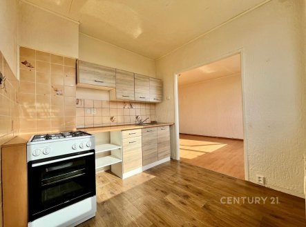 Pronájem bytu, 1+1, 33 m²
