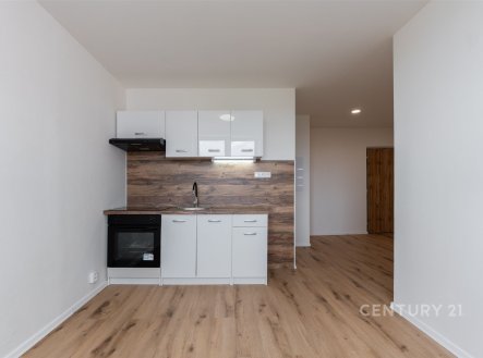 Pronájem bytu, 2+kk, 33 m²