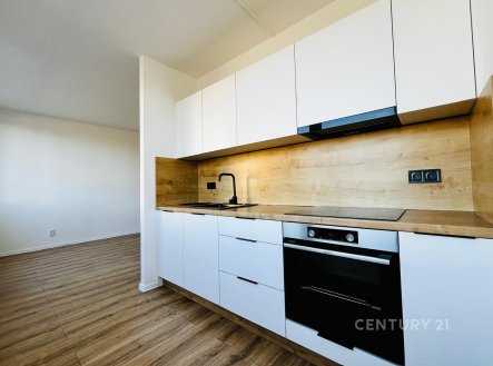Pronájem bytu, 3+1, 68 m² obrázek