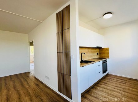 Pronájem bytu, 3+1, 68 m²