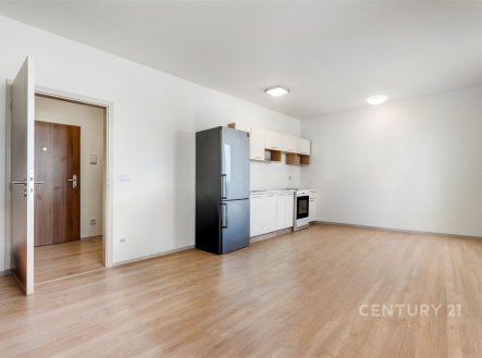 Prodej bytu, 1+kk, 31 m²