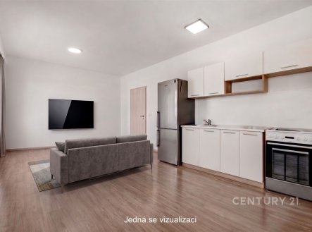 Prodej bytu, 1+kk, 31 m²