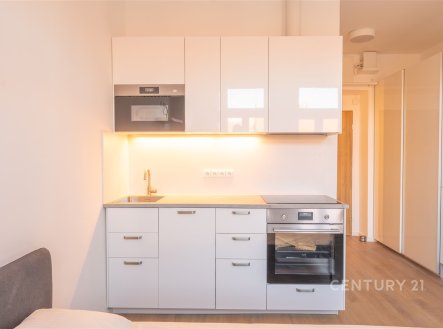 Pronájem bytu, garsoniéra, 22 m²