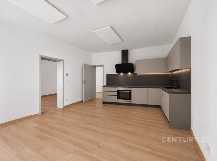 Pronájem bytu, 2+kk, 54 m²