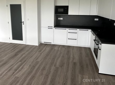 Pronájem bytu, 2+kk, 57 m²