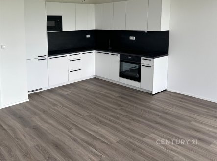 Pronájem bytu, 2+kk, 57 m²