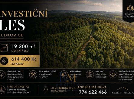 Prodej pozemku, les, 19 200 m²