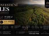 Prodej pozemku, les, 19 200 m²