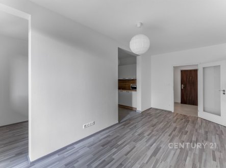 Prodej bytu, 1+kk, 43 m²