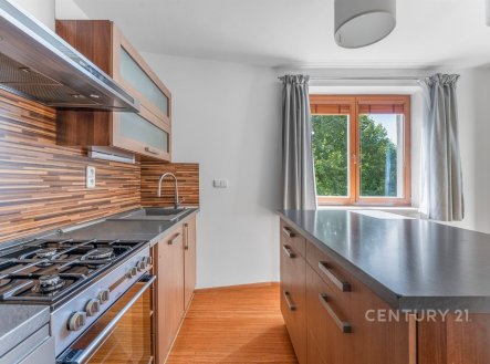 Pronájem bytu, 3+kk, 72 m²