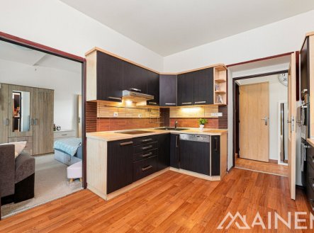 Prodej bytu, 1+1, 60 m²