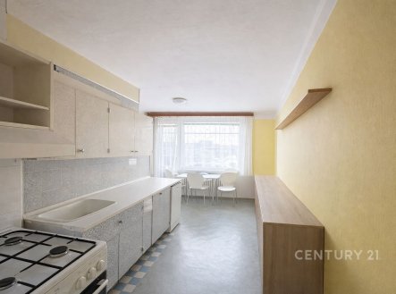 Prodej bytu, 1+1, 45 m²