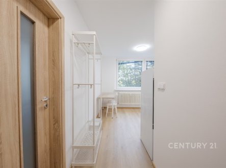 Pronájem bytu, 1+1, 32 m²