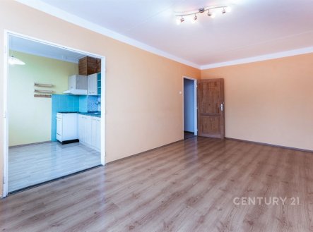 Pronájem bytu, 3+1, 65 m²