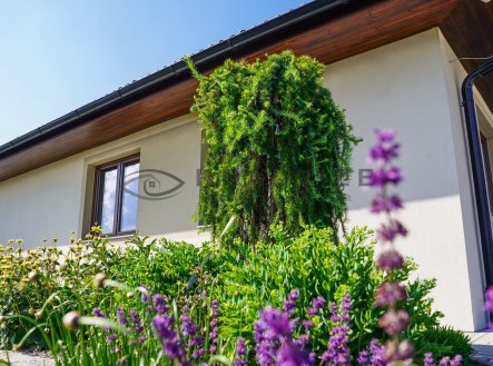 Prodej domu/vily, 237 m²