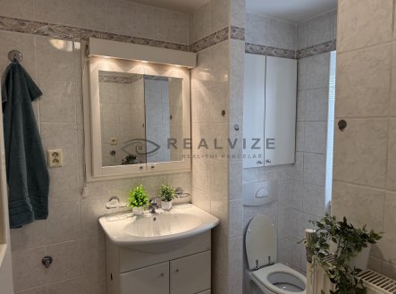 Pronájem bytu, 2+1, 60 m²