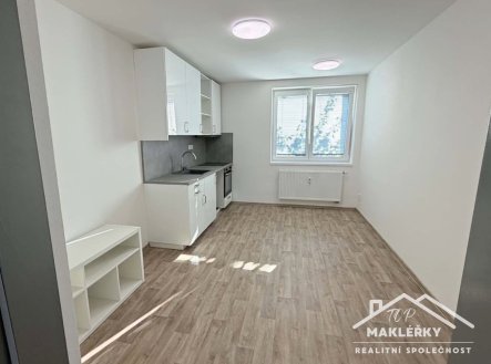 Pronájem bytu, 1+1, 38 m²
